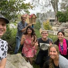 Bee Hotel installation