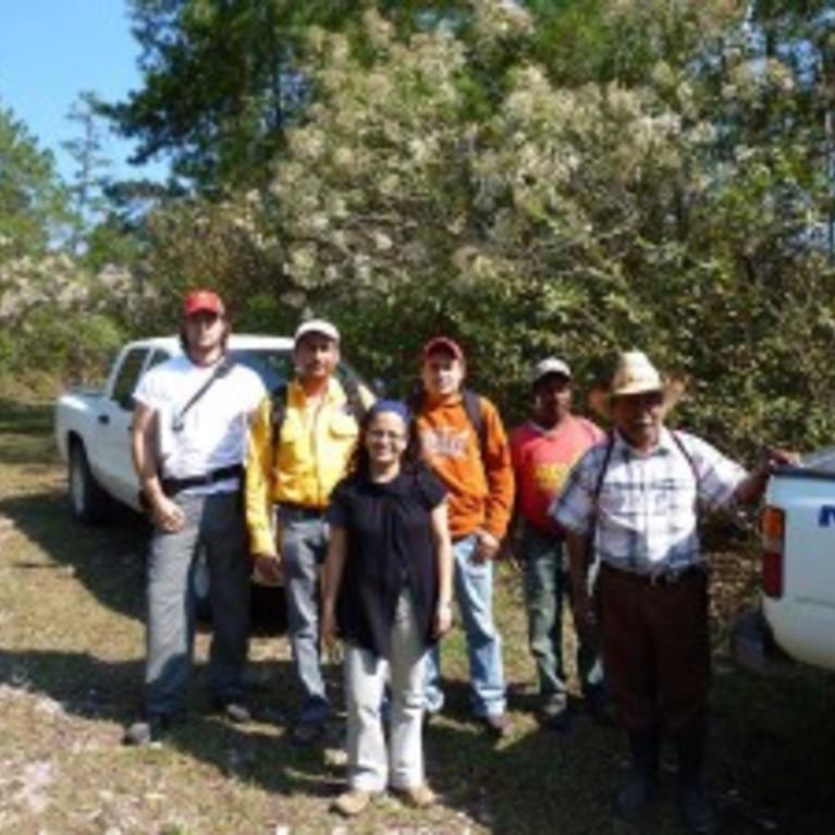 Tom Coleman (USDA Forest Service) and cooperators from ECOSUR and CONAFOR