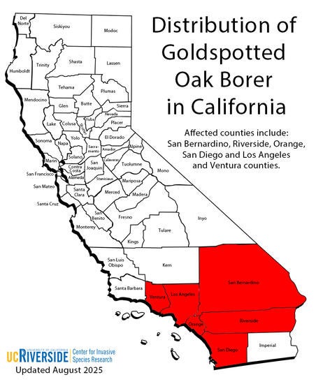 Distribution of Gold Spotted Oak Borer in California