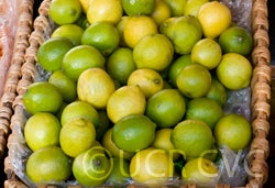 Bearss lime CRC3772003