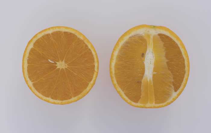 CampbellValenciaorangeCRC3032013