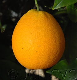 deltavalencia011_001