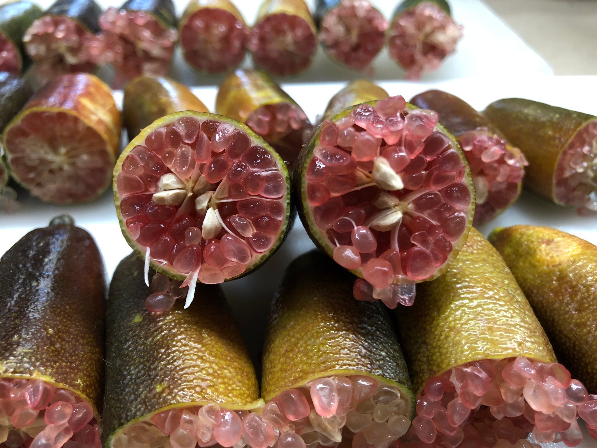 Toots P2014-176-14 (3)