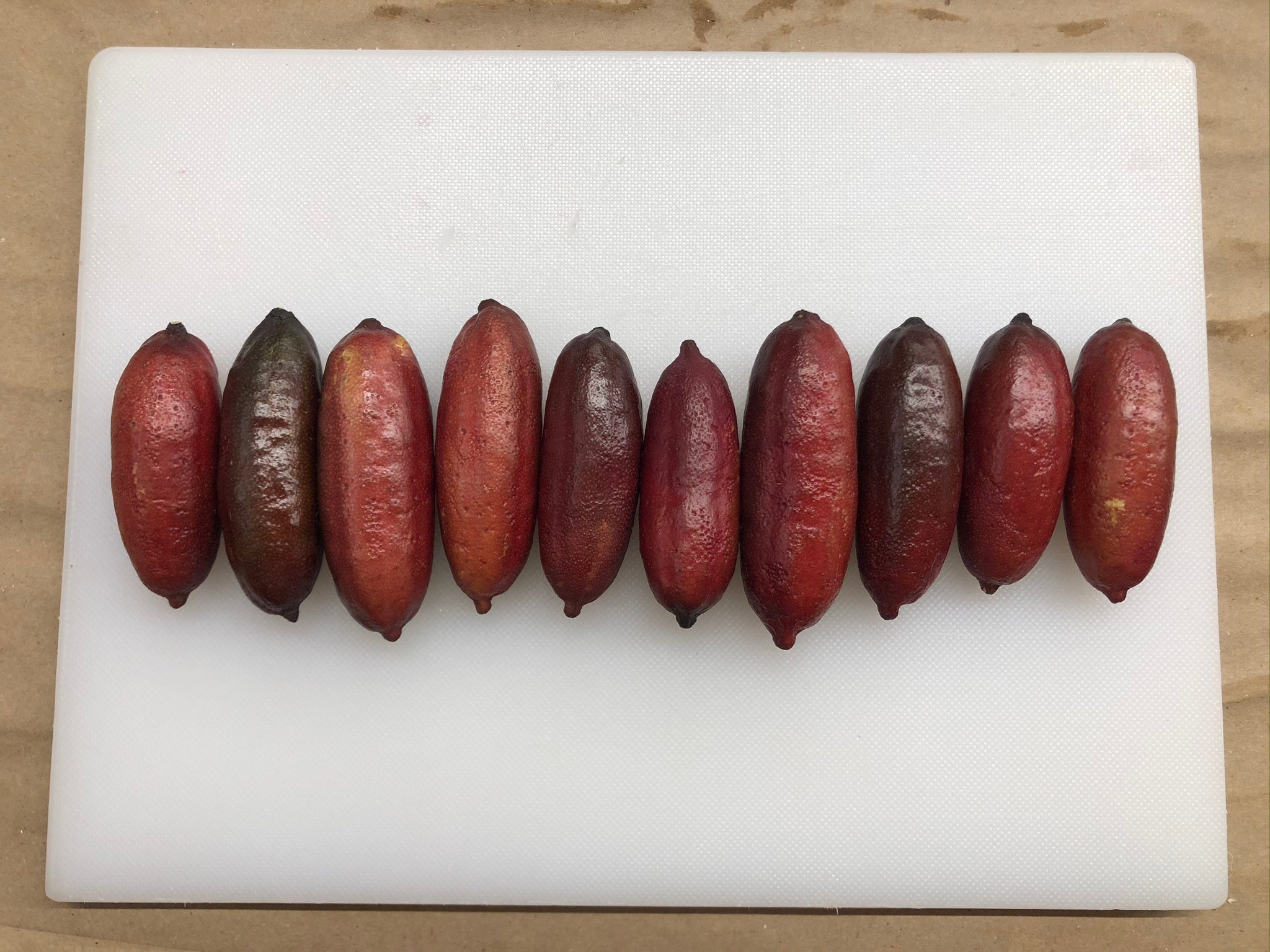 Misterioso P2014-175-14 002