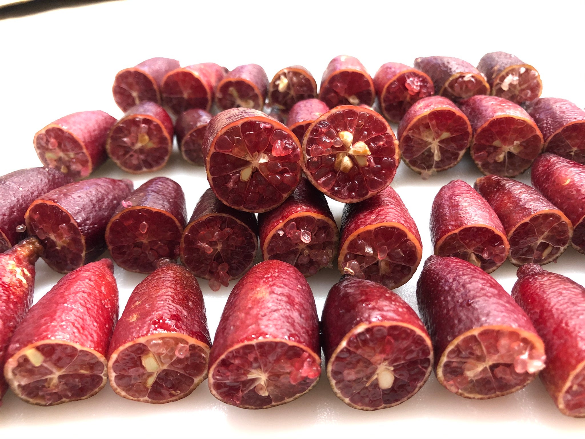 Maroon Gem P2014-175-19 (3)