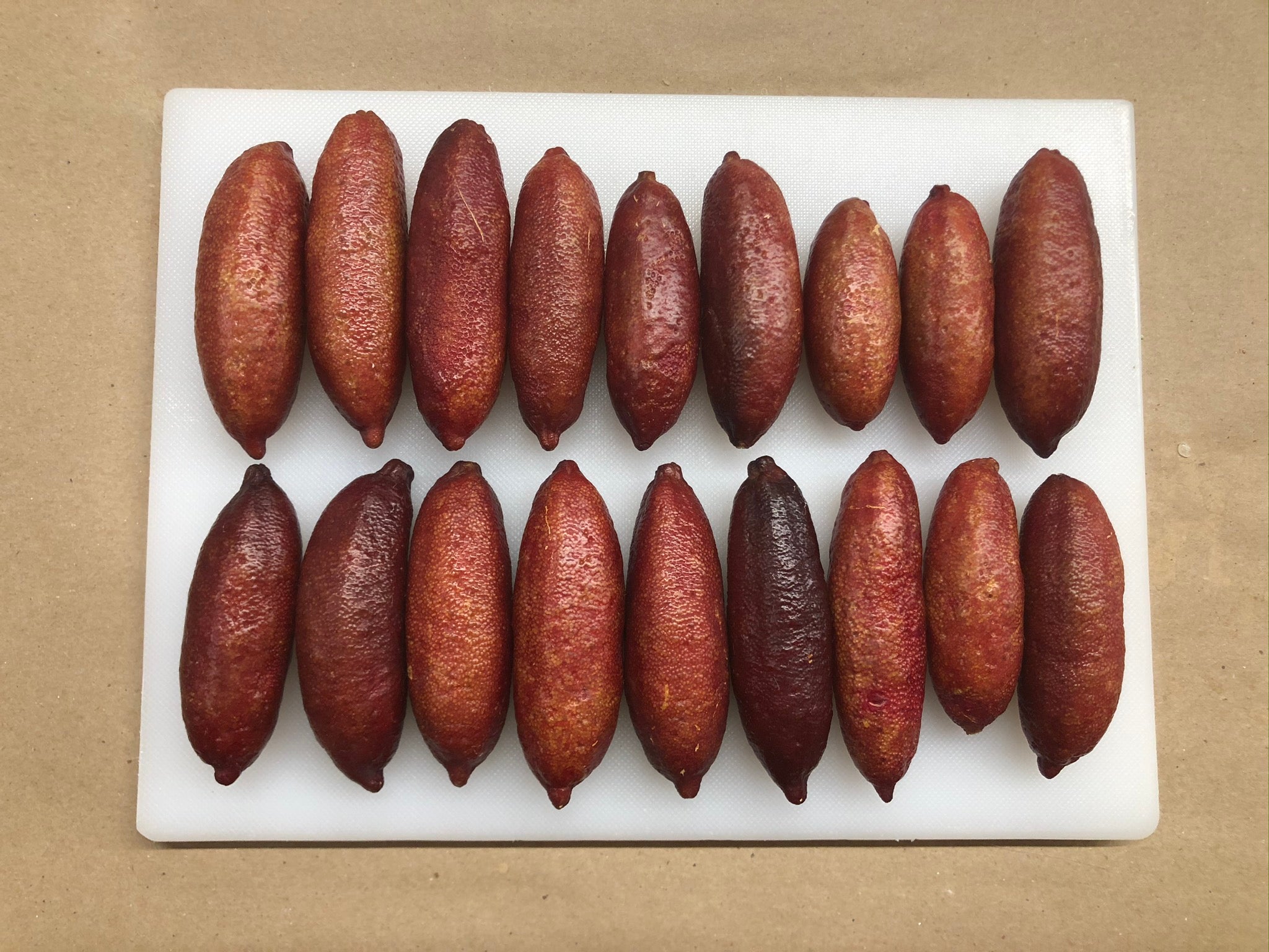 Pink Sunset P2014-175-22 (1)