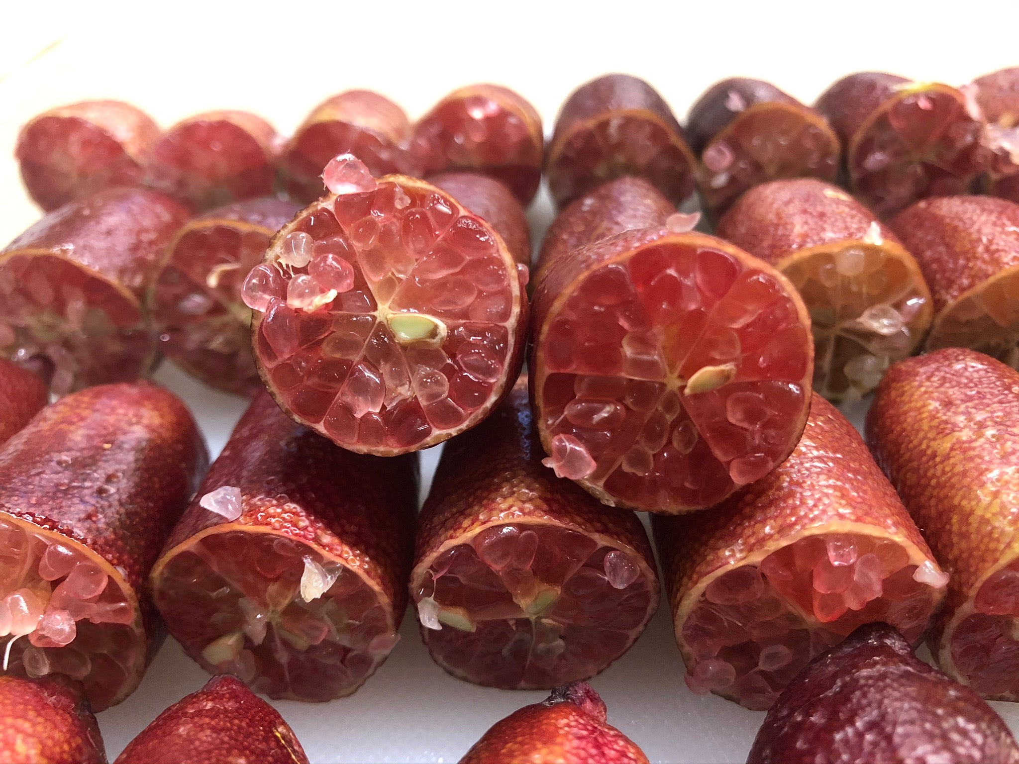 Pink Sunset P2014-175-22 (2)