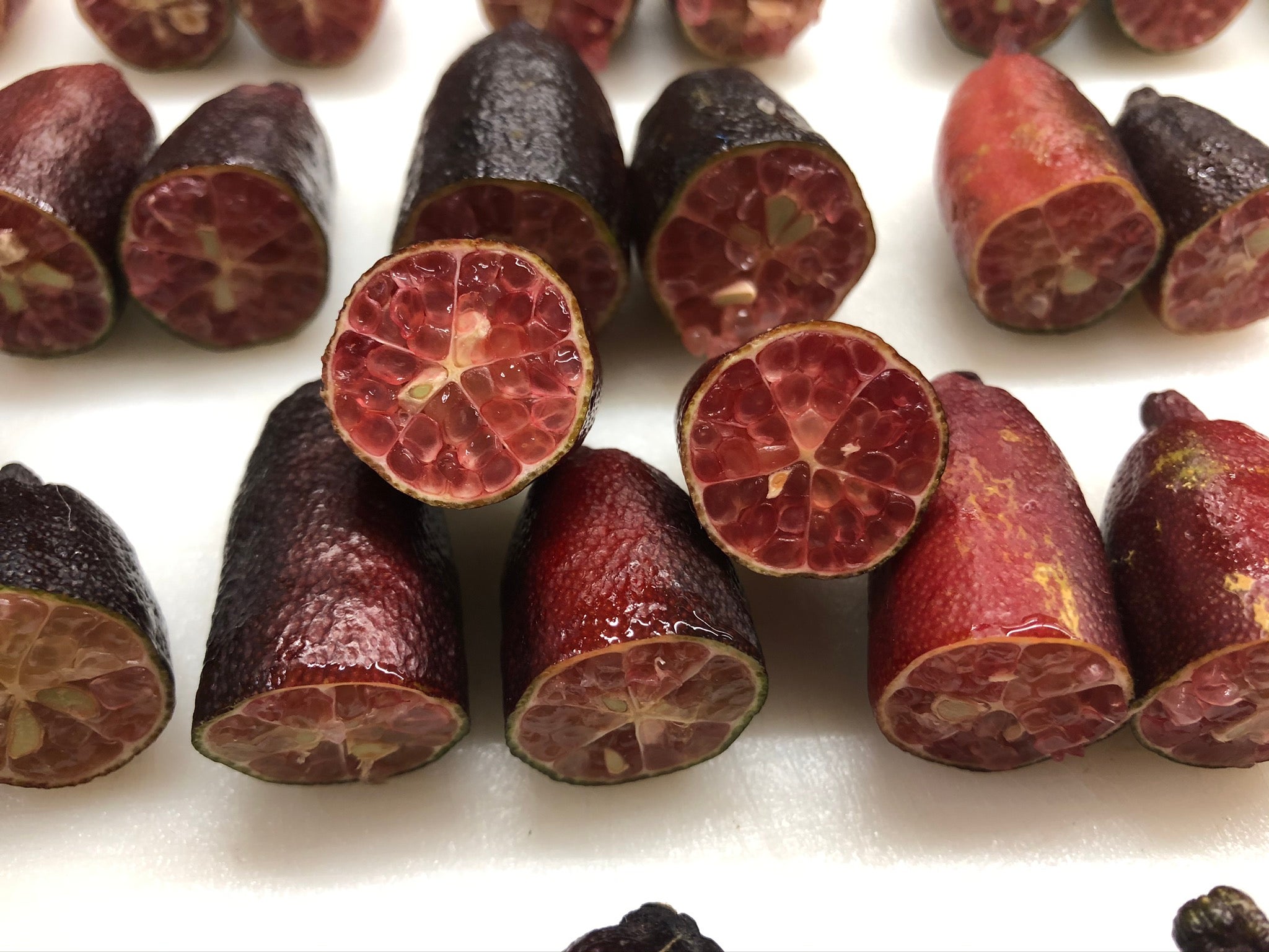 Rubirosa P2014-176-36 005