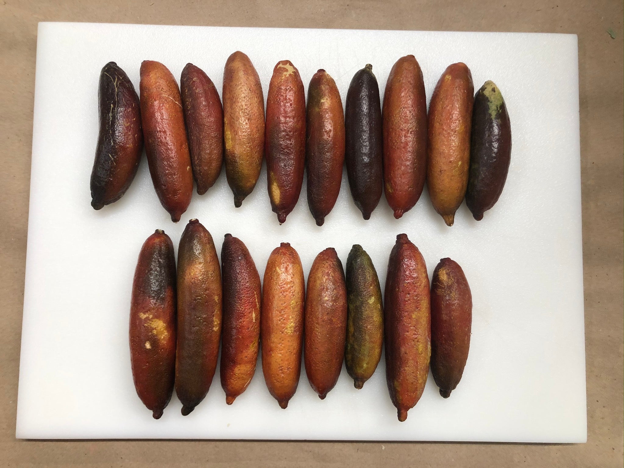 Porfirio P2014-175-01 003