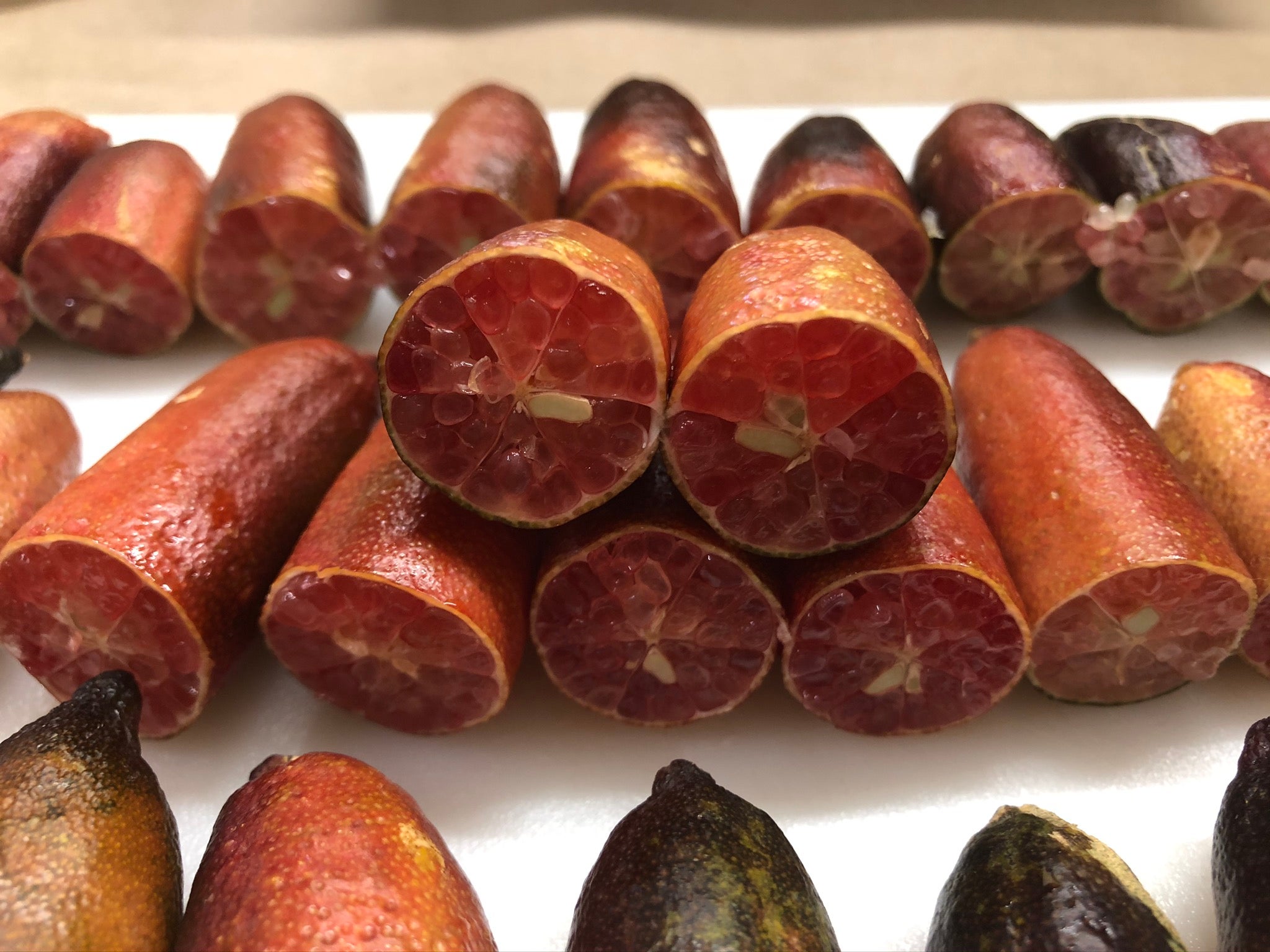 Porfirio P2014-175-01 004