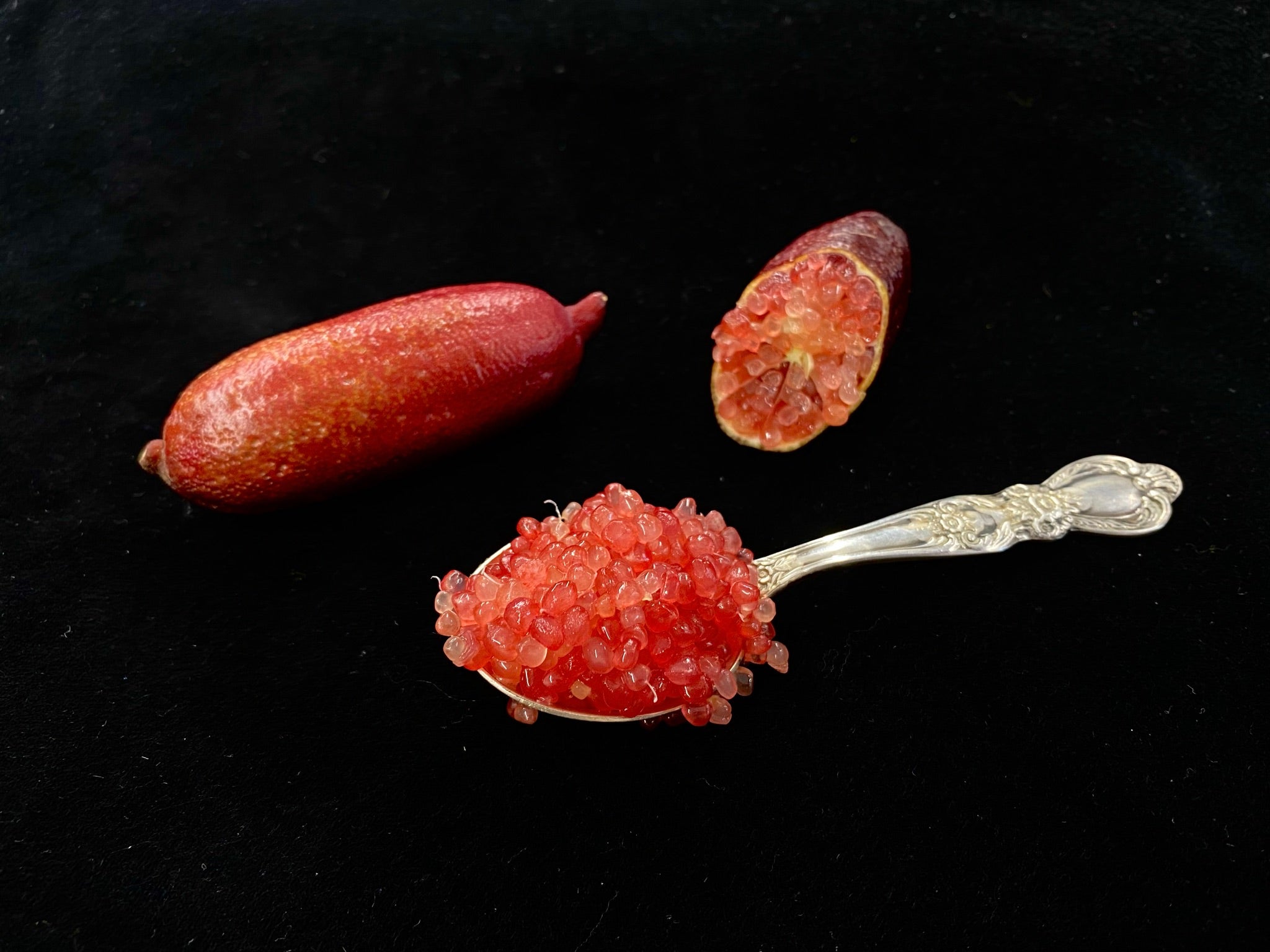 Dexter Rosefire P2014-175-42 001