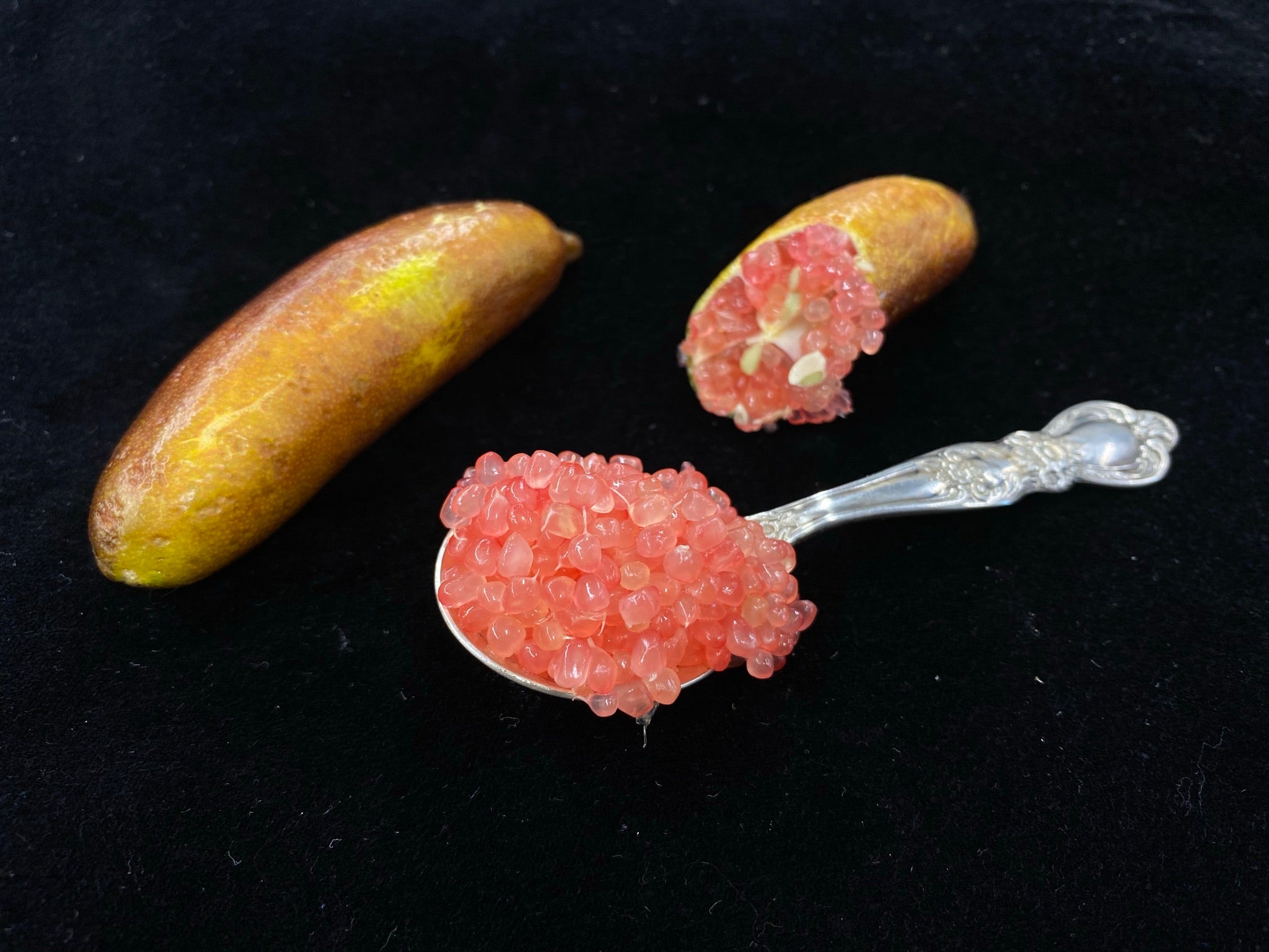 Toots P2014-176-14 (1)