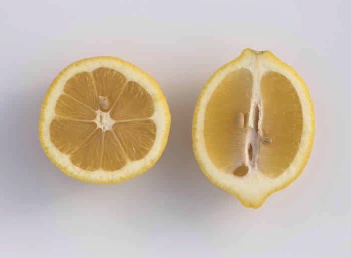 Limoneira 8A Lisbon lemon CRC 3501 halves