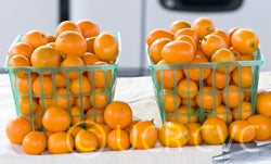 nagamikumquatbernardhfm002