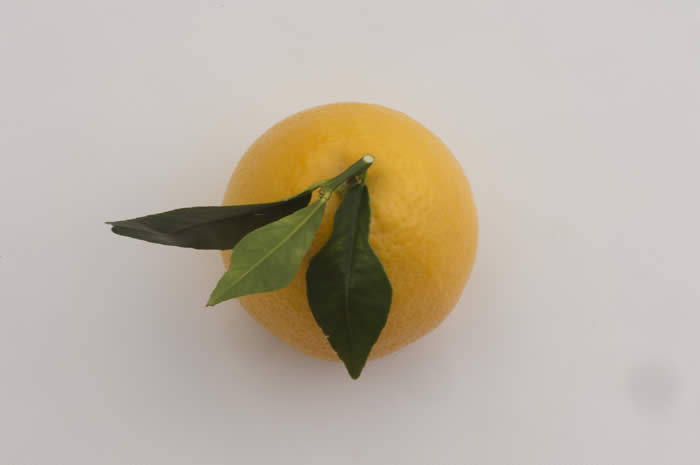 orbonlemonhybridcrc4140009