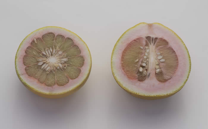 pandanpummelocrc2752005