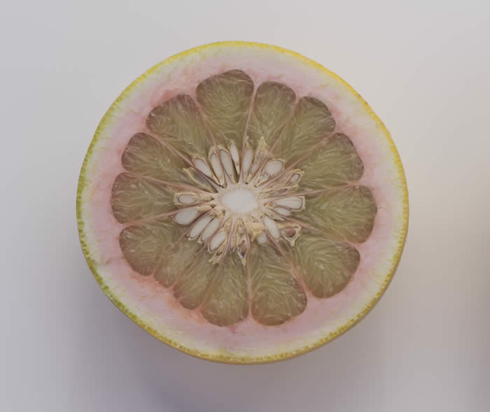 pandanpummelocrc2752006