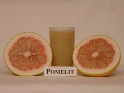 pomelit3