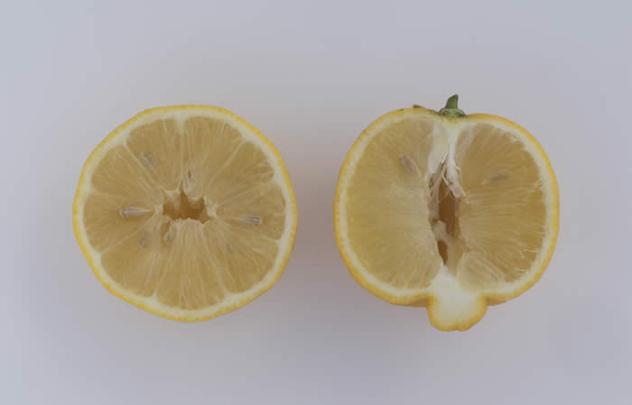 pomonasweetlemoncrc4068016