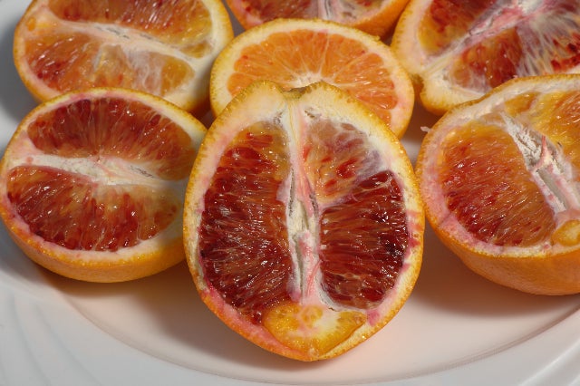 shahani_red_navel_002