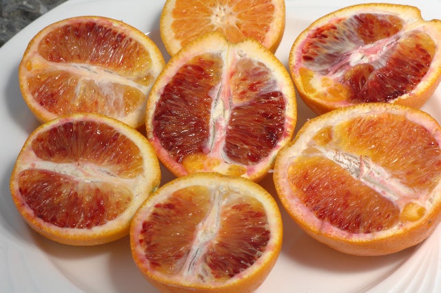 shahani_red_navel_003