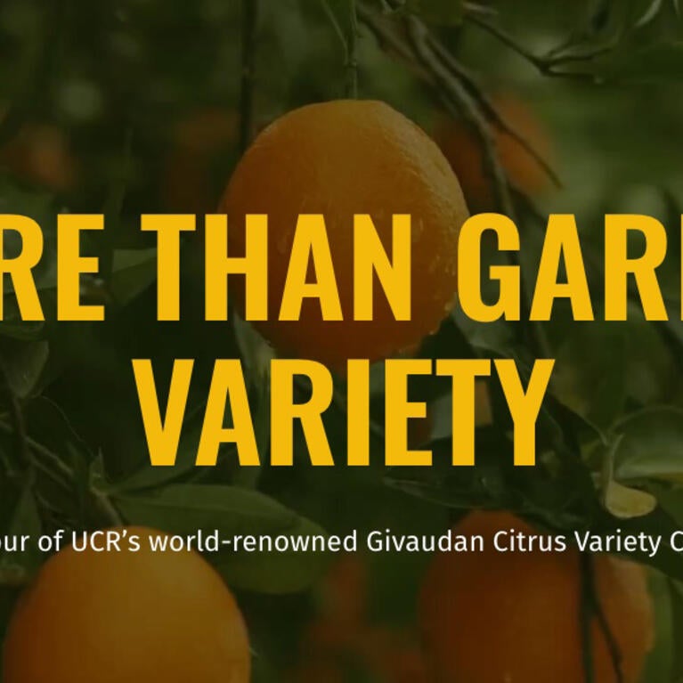 UCR Magazine - More Than Garden Variety