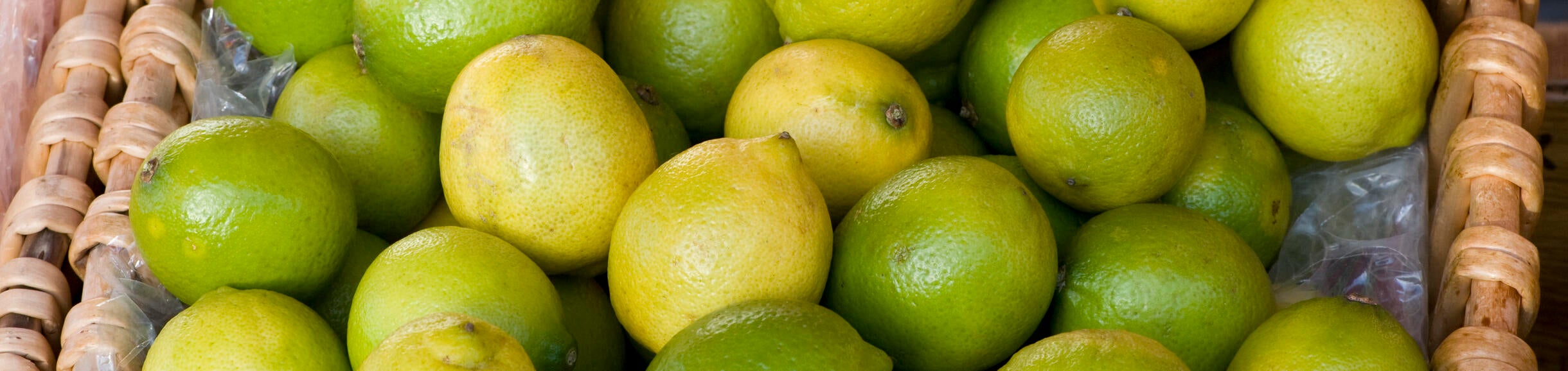 Bearss lime 