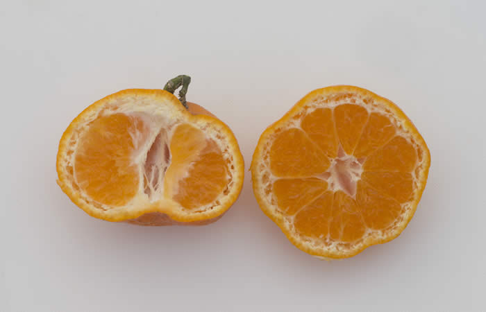 Ueno Satsuma Mandarin crc4223014.jpg