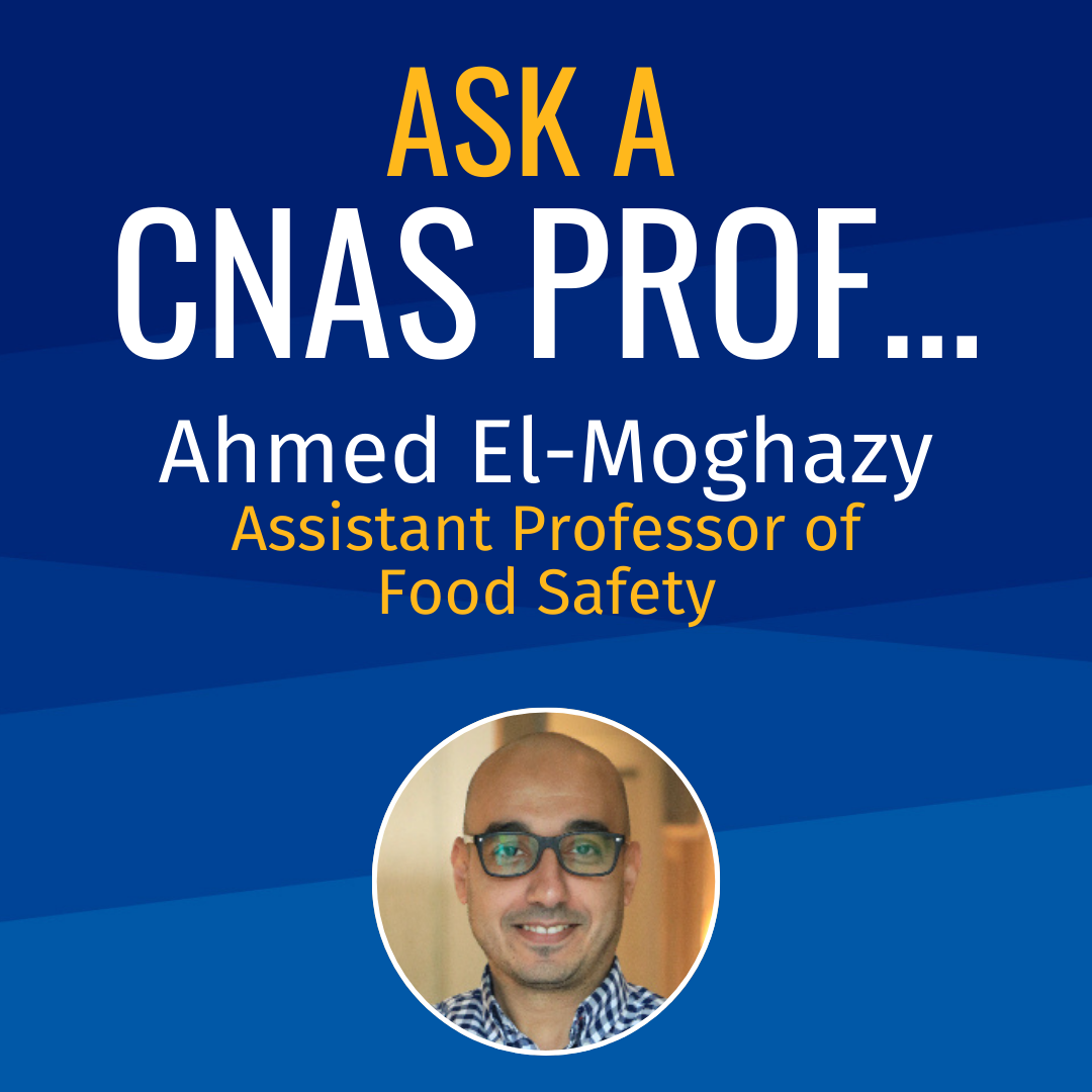 Ask a CNAS Prof Ahmed El-Moghazy