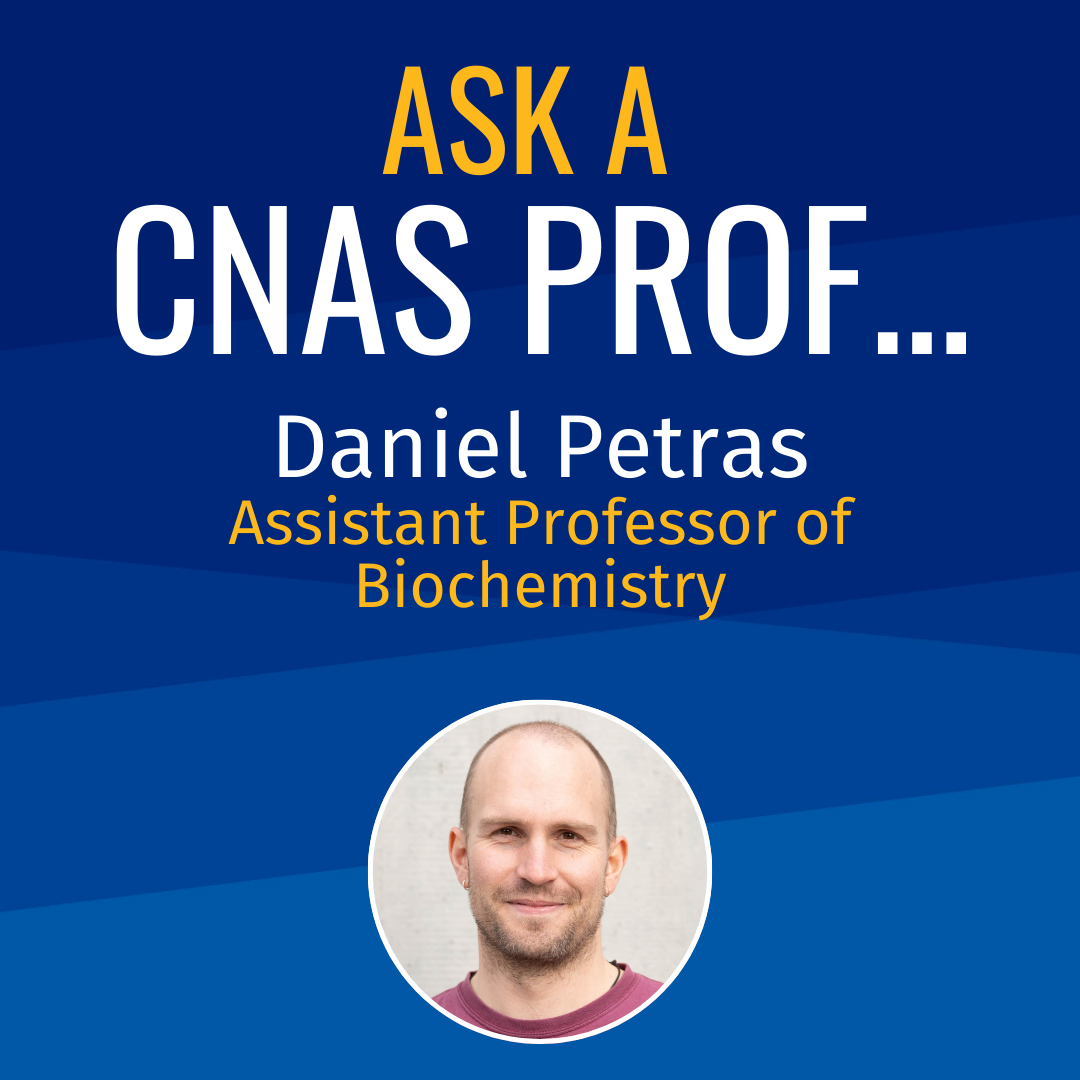 Ask a CNAS Prof Daniel Petras