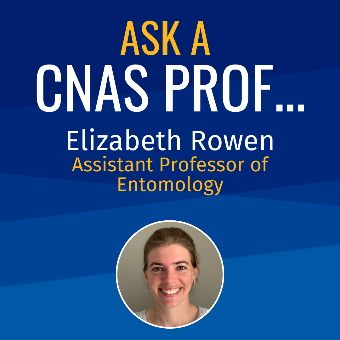 Ask a CNAS Prof Elizabeth Rowen