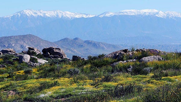 Motte Rimrock UCR Natural Reserve (c) UCR / Stan Lim 2019