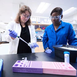 Undergraduate Majors Plant Biology - Research Lab