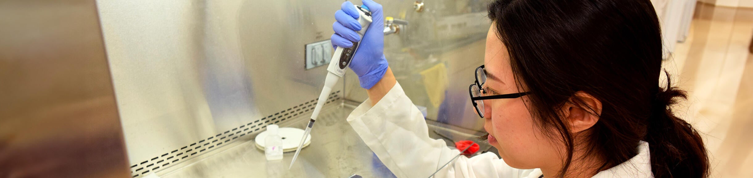 Undergraduate Majors Microbiology Home