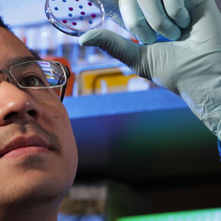 Grad Student David Chen (c) UCR / Stan Lim