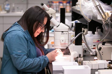 Student in entomology lab