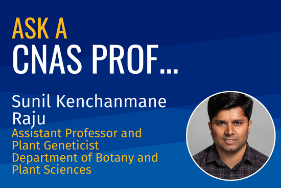 Ask a CNAS Prof Sunil Kenchanmane Raju