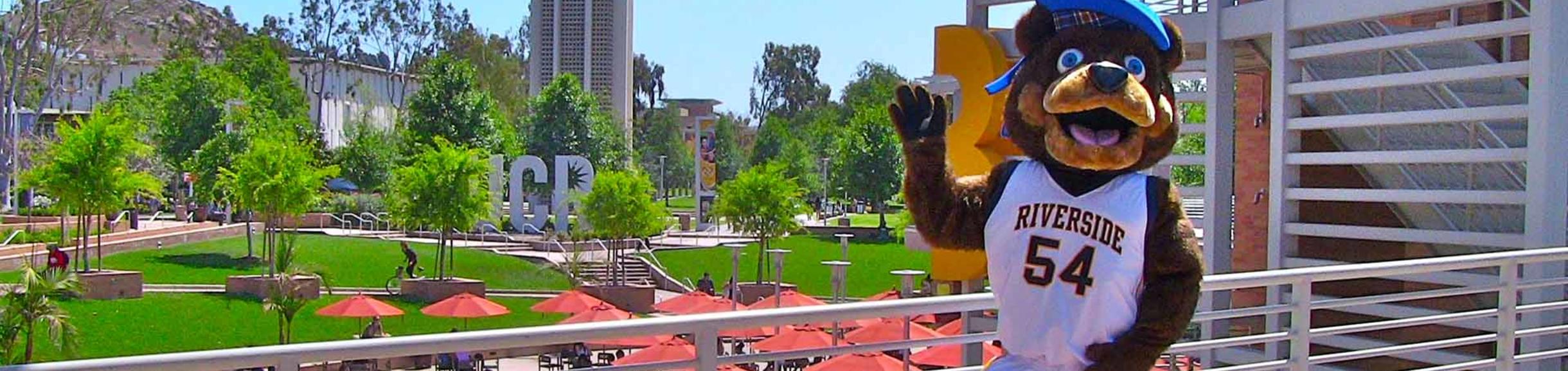 Scotty Bear at the Hub