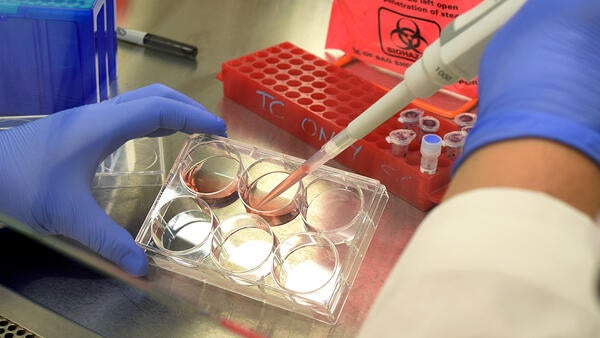 hood work pink liquid