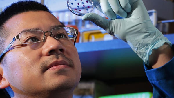 David Chen in the lab (c) UCR / Stan Lim