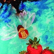 fruitflyodordetectionarchive