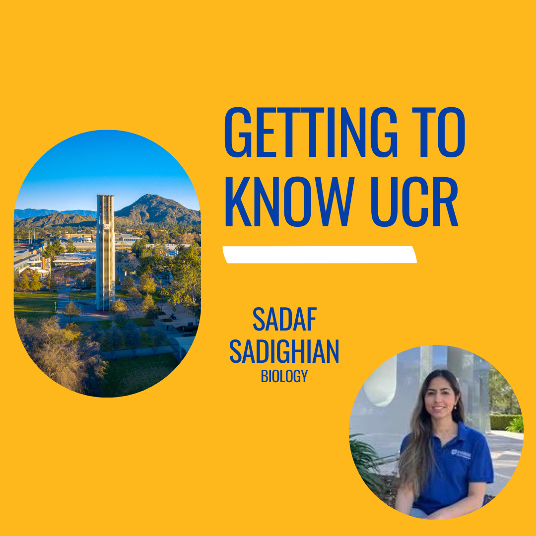 Getting to Know UCR Sadaf Sadighian