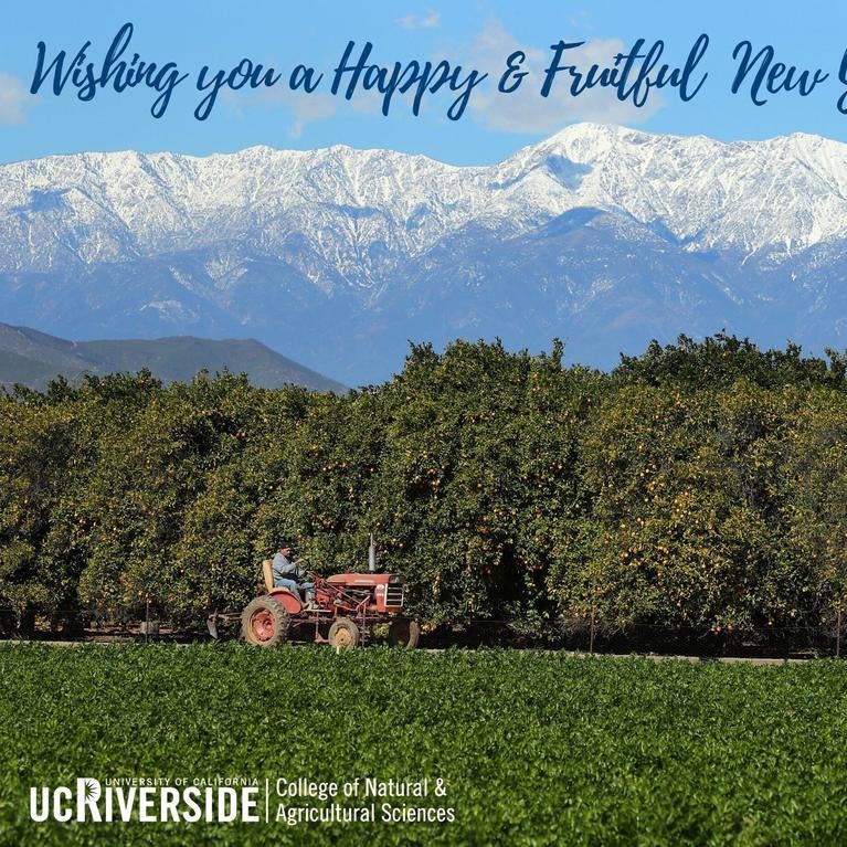 Happy New Year from CNAS