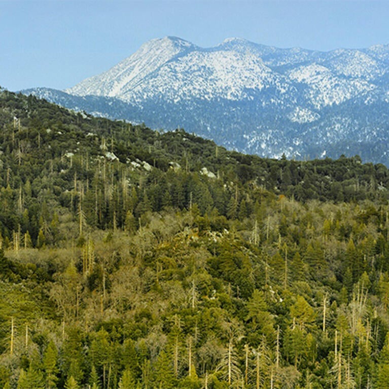 UCR Natural Reserves