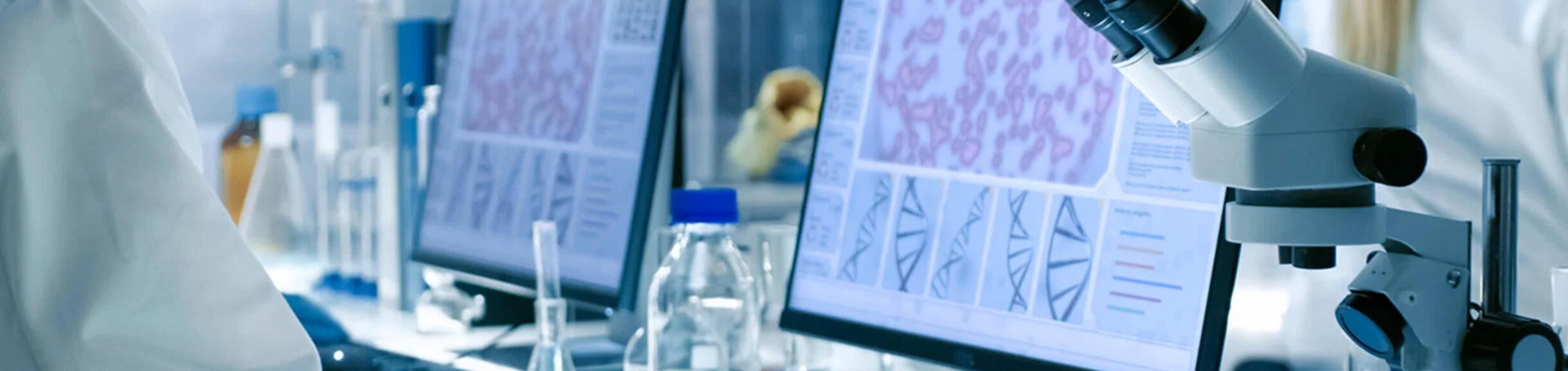 Undergraduate Majors Chemistry