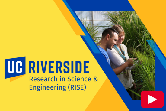 RISE Video Thumbnail