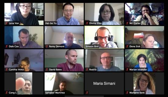 Summer Physics Academy online (Zoom gallery view)