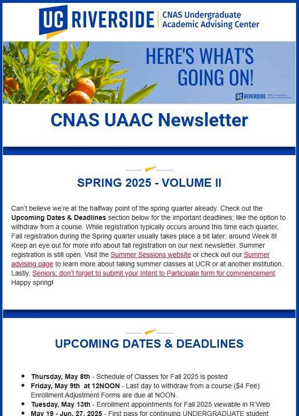 Newsletter Screenshot 25S 2