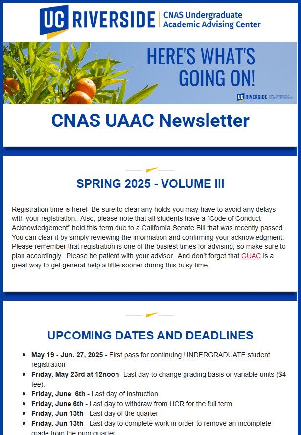 Newsletter Screenshot 25S 3