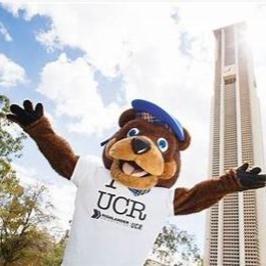 Nancy Advising Alternative